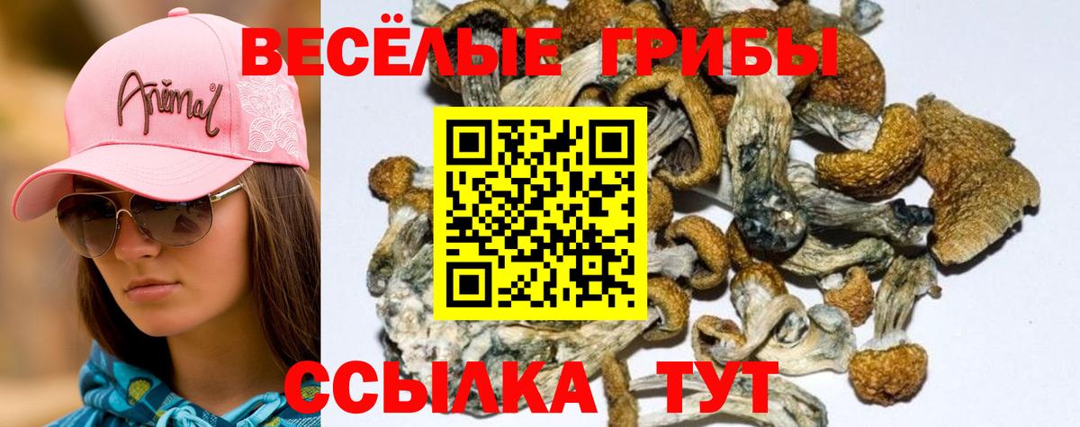 Псилоцибиновые грибы ЛСД Ногинск